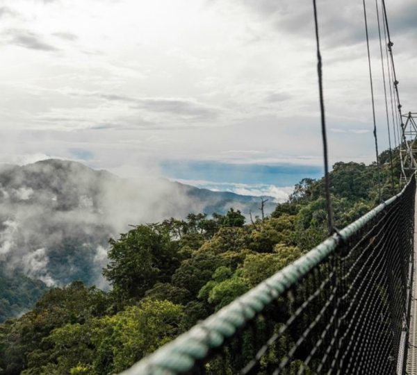 3 Days Chimpanzee Trekking and Lake Kivu adventure